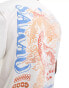 River Island Japanese embroidered t-shirt in white