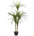 Фото #1 товара Искусственные цветы Beliani Kunstpflanze DRACAENA ANITA