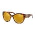 Фото #2 товара Очки RALPH LAUREN RL8168-56157P Sunglasses