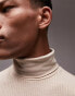 Topman classic longsleeve jersey rib roll neck in stone