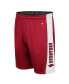 Men's Cardinal Arkansas Razorbacks Panel Shorts