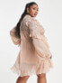 Фото #2 товара ASOS DESIGN curve floral embellished frill detail mini dress with button front in blush