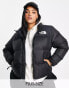 Фото #1 товара The North Face Plus 1996 Retro Nuptse down puffer jacket in black