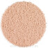 Фото #2 товара Sampure Minerals Loose Mineral Highlighter