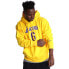 [DB1181-728] Mens Nike NBA LA LAKERS LEBRON JAMES #6 FLEECE PULLOVER HOODIE