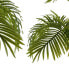 Decorative Plant Palm tree Green Plastic (100 x 100 x 100 cm)