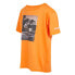 ფოტო #6 პროდუქტის REGATTA Alvarado VIII short sleeve T-shirt