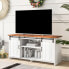 Sideboard TV-Schrank Astraios Ⅶ