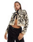 Miss Selfridge leopard ribbon detail knitted cardigan