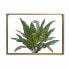 Фото #1 товара Картина для дома DKD Home Decor Тропический Лист растения (80 x 3 x 60 см)