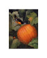 Фото #1 товара Marcia Matcham Oriole and Pumpkin Canvas Art - 37" x 49"