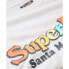 ფოტო #5 პროდუქტის SUPERDRY Rainbow Logo Relaxed short sleeve T-shirt