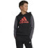 ADIDAS Big Logo Colorblock hoodie