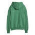 Фото #2 товара Puma Winter Rink Pullover Hoodie Womens Green Casual Outerwear 62085886