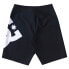 DC SHOES Lanai 21 Swimming Shorts