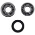 HOTRODS Honda CRF 450R 17-22/Rx 17-22/Rwe 19-22 Swingarm Bearing Kit