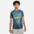 Фото #1 товара Nike Tottenham Hotspur Top Pre Match CL M DN2921-415 T-Shirt