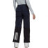 Фото #2 товара ADIDAS Resort Two-Layer Insulated Stretch Pants