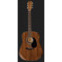 Martin Guitars D-19 190th anniversary