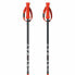 FISCHER RD SL Junior Poles