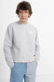 Фото #11 товара Relaxed Fit Crew Gri Sweatshirt