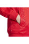 Kırmızı Erkek Dik Yaka Desenli Zip Ceket Ij5689