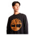 Фото #6 товара TIMBERLAND Core Tree Logo Brushback sweatshirt