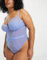 Фото #8 товара Ivory Rose Curve B-G lace mesh bodysuit in blue