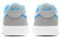Nike SB Adversary PRM CW7456-003 Sneakers