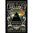 Фото #1 товара Постер Pink Floyd 1973 от Pyramid
