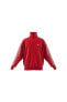 Adicolor Classics Firebird Erkek Sweatshirt Ij7060