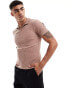 Фото #1 товара ASOS DESIGN muscle fit ribbed revere polo in brown