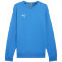 Фото #1 товара Puma Team Goal Casuals Crew Neck Sweat M 658592 02