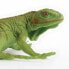 SAFARI LTD Iguana Baby Figure