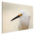 Фото #1 товара Wandbild Snowy Egret