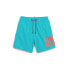 SUPERDRY Sportswear Logo 17´´ Swimming Shorts