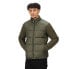 REGATTA Firmilien jacket