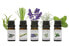 Gift set of essential oils (100% Pure Essential Oil Collection) 5 x 10 ml