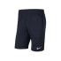 Фото #1 товара Спортивные брюки Nike Drifit Park 20