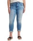 Фото #1 товара Plus Size Carter Mid Rise Girlfriend Jeans