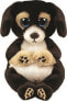 TY Beanie Babies Ranger - pies 15cm