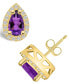 ფოტო #1 პროდუქტის Amethyst (1-3/4 ct. t.w.) and Diamond (1/3 ct. t.w.) Halo Stud Earrings in 14K Yellow Gold