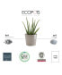 Фото #3 товара Eco pots Amsterdam Modern Round Indoor and Outdoor Planter, 7in