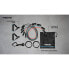 AVENTO Training Resistance Bands Set