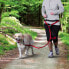 Trixie Pas biodrowy ze smyczą dla średnich i dużych psów - Czerwony