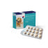 Фото #1 товара COVETFARM Nutricarevet Joint Supplement Pet Supplement 45 Units