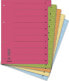 Фото #1 товара Donau Przekładki DONAU, karton, A4, 235x300mm, 0-9, 50 kart z perforacją, mix kolorów