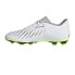 Фото #3 товара Adidas Predator Accuracy.4 Fxg