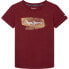 ფოტო #1 პროდუქტის PEPE JEANS Seth Tee Jr short sleeve T-shirt