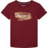 Фото #1 товара PEPE JEANS Seth Tee Jr short sleeve T-shirt